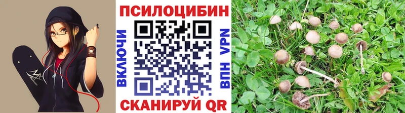 Галлюциногенные грибы Psilocybe  купить закладку  Себеж 
